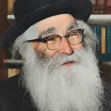 Изображение: Рав Арье Левин