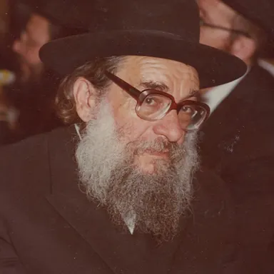 תמונה: רבי גדליה נדל